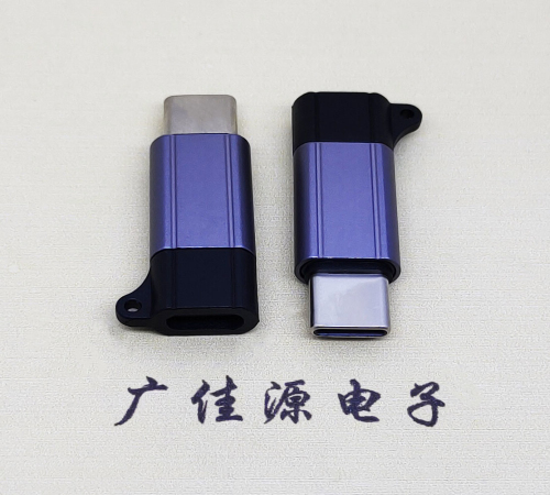 前鋒Type-C母轉(zhuǎn)Type-C公 USB3.1 PD100W快沖接口